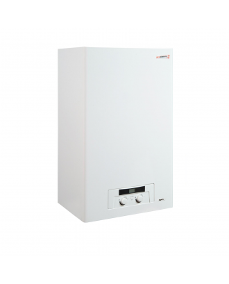 Котел газовий Protherm Рись BA 24 LYNX